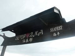 -斗湖机场