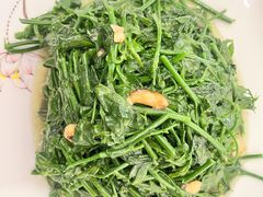 -琼菜人家·海南菜·文昌鸡(文昌大道店)