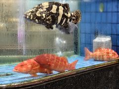 -小榄人家酒楼(民安店)