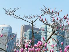 -城市阳台