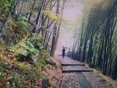 -东天目山风景区