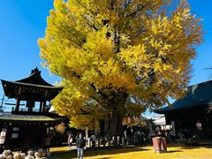 -医王山·飞騨国分寺