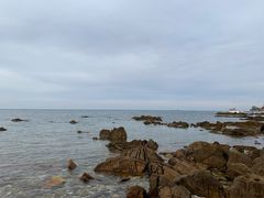 -养马岛旅游度假区