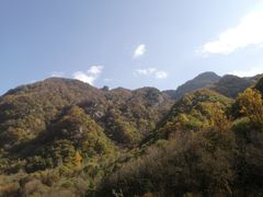 -沣峪口