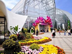 -南山植物园