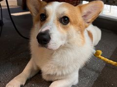 -楠火锅(仁恒梦中心店)