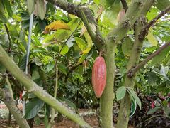 -歌斐颂巧克力小镇