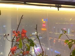 -润园四季椰子鸡火锅(海上世界店)