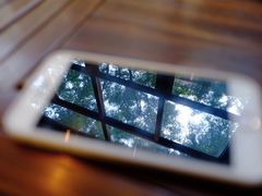 -VESH COFFEE(定西路店)