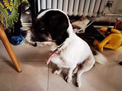 -平行世界·猫咖(首经贸店)