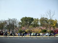 -新江湾城公园