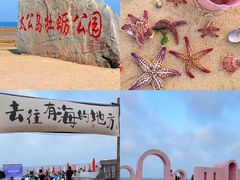 -日照海滨国家森林公园