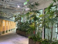-大视光学•LINDBERG林德伯格•全球手工眼镜集合店(王府井店)
