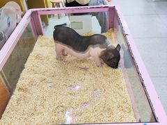 -万达广场(惠州大亚湾店)