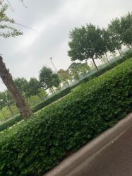 -HEYAN长风荷妍专业脱毛美肤
