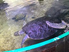 -鸿通城购物中心