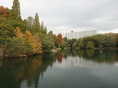 -井之头恩赐公园
