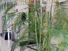 -海天一色海景自助餐厅(西港花园店)