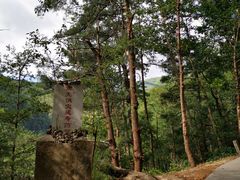 -寂照庵