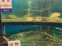 -莆鑫海鲜城(浏河店)