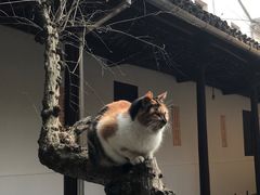 -西园戒幢律寺