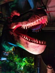 -恐龙探索乐园(磁器口店)