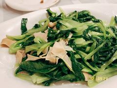 鸡毛菜炒百叶-翠亭酒家(山西南路店)