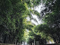 -羊楼洞