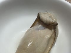 -探窝·竹笙椰子鸡(杨箕店)