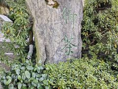 -十八棵（老龙井）御茶园(老龙井店)