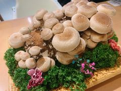 活体松香菇-湯系·煲汤手艺人(东二环泰禾广场店)