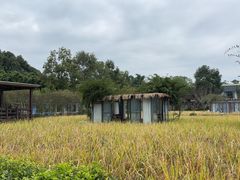 -洪湖家庭农场·团建·露营·会议