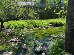 -玉渡山自然风景区