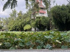 -四川大学(华西校区)