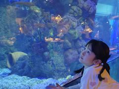 -鲨鱼餐厅.海景川粤餐厅(重庆天地店)