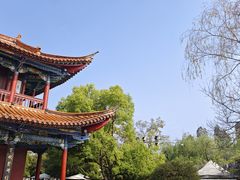 -翠湖公园
