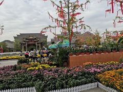 -武汉园博园(武汉自然博物馆)
