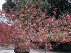 -虞山风景区