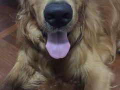 -芭比堂动物医院·24小时·眼科中心(深圳中心)