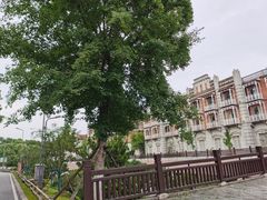 -武汉园博园(武汉自然博物馆)