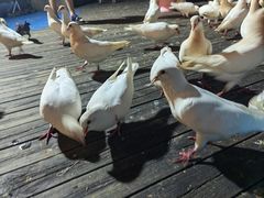 -南昌之星游乐场