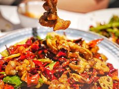 -新蜀会四川豆花(五羊店)