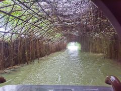 -江门古劳水乡旅游区