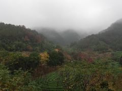 -浙江农林大学(东湖校区)