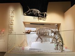 -国家自然博物馆