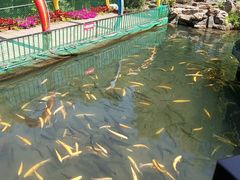 -本溪水洞