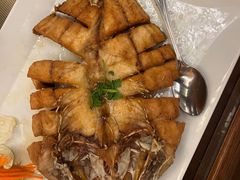 -Daddy Nimman Chiang Mai