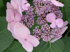 -常州古运河南大街文化旅游区-人民公园