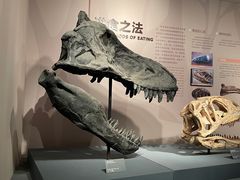 -自贡恐龙博物馆