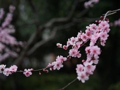 -静安雕塑公园